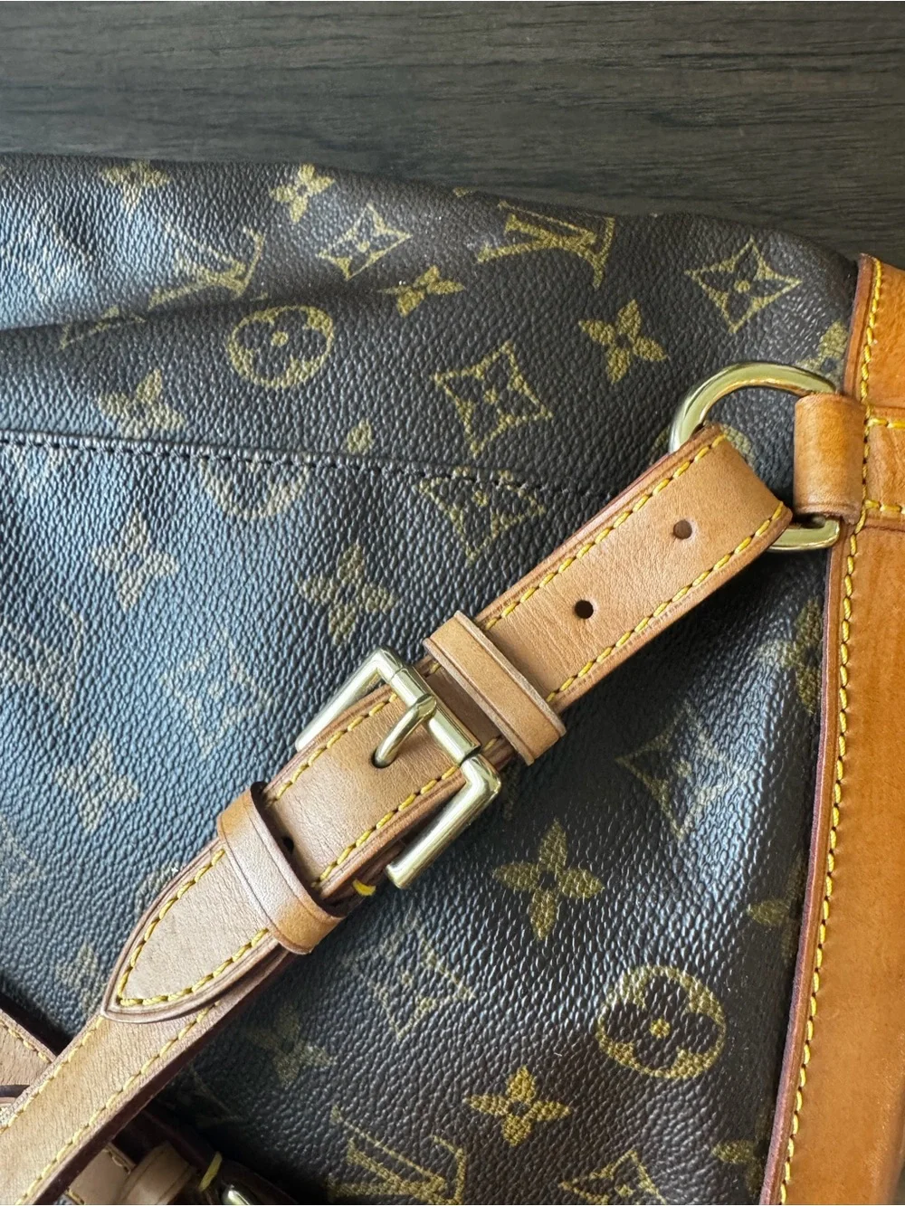 Louis Vuitton iconic lv